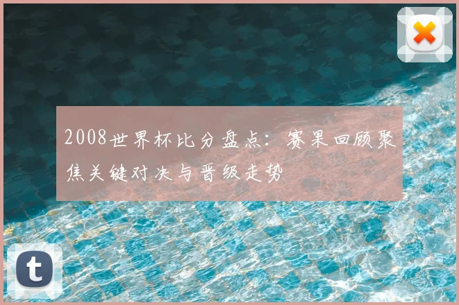 2008世界杯比分盘点:赛果回顾聚焦关键对决与晋级走势